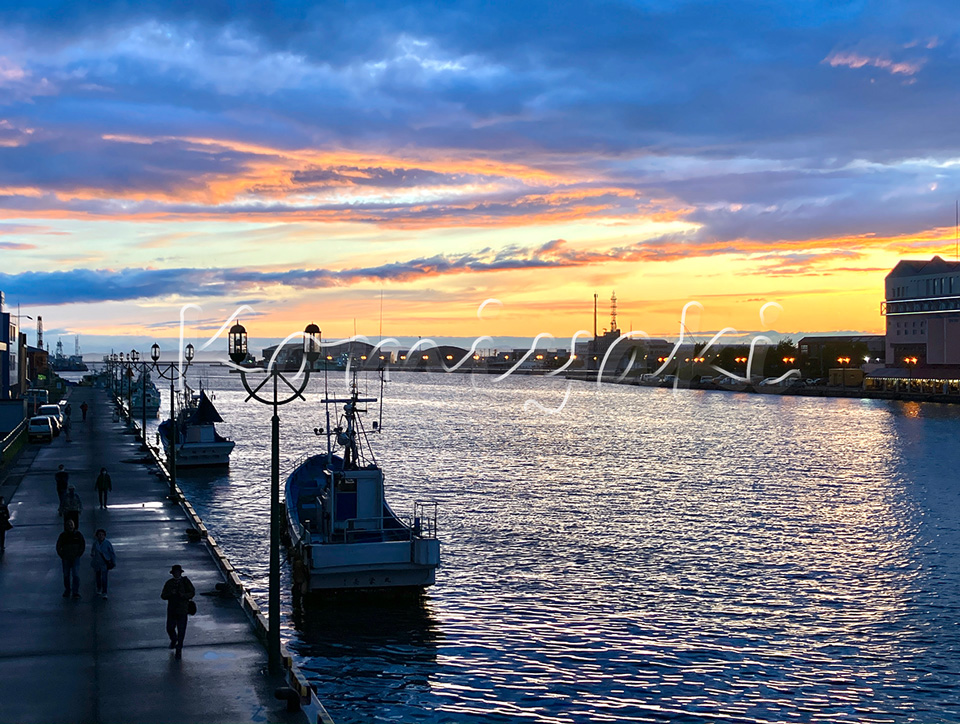 港のマジックアワー／2023年