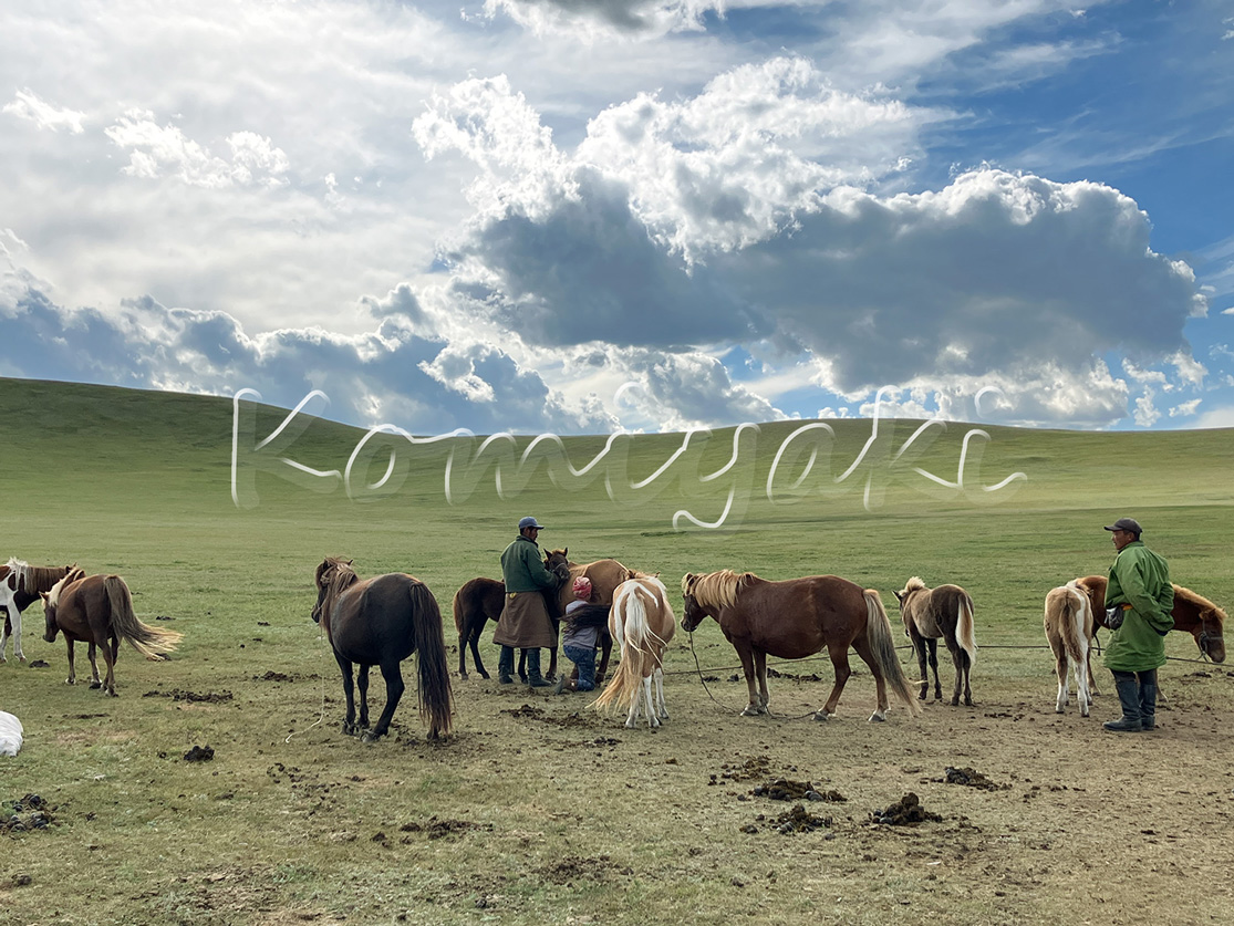 遊牧民の日常業務／2023年